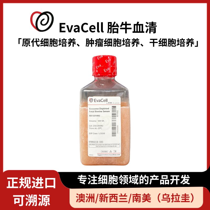 无外泌体胎牛血清