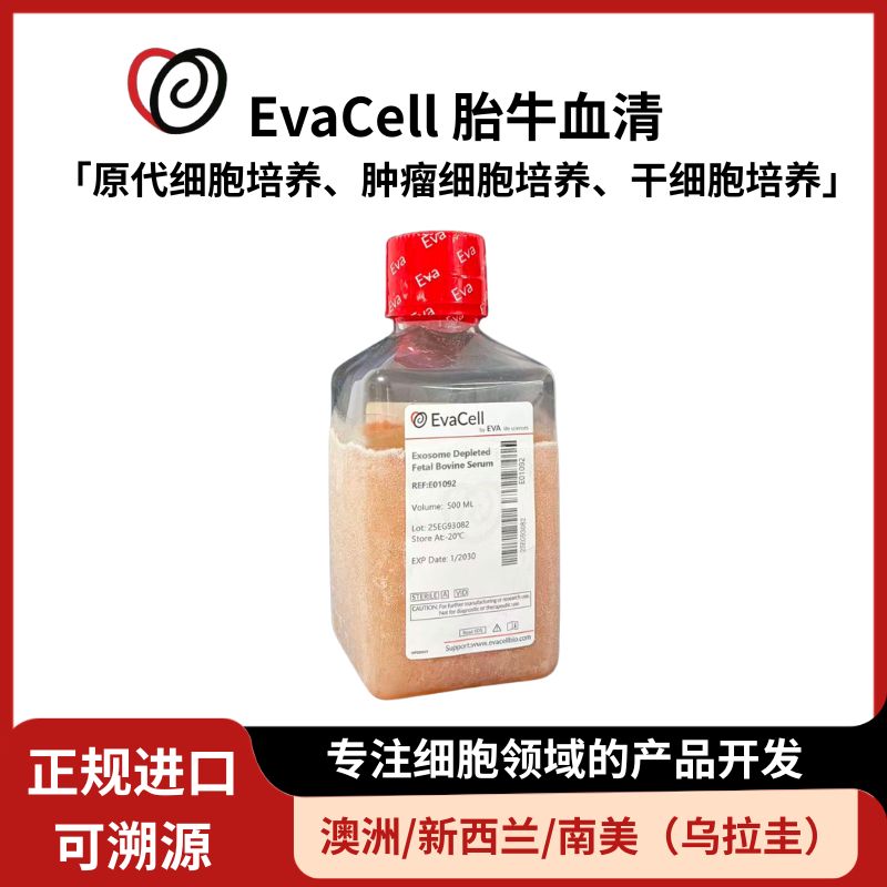 无外泌体胎牛血清