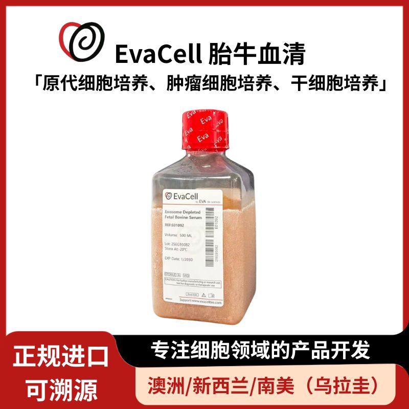 无外泌体胎牛血清