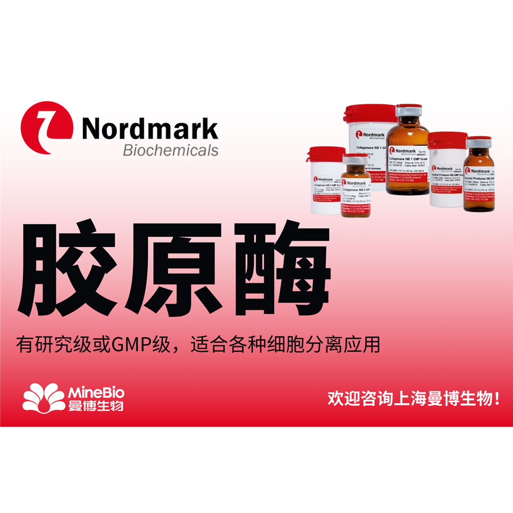 科研级组织解离胶原酶｜干细胞提取｜Nordmark