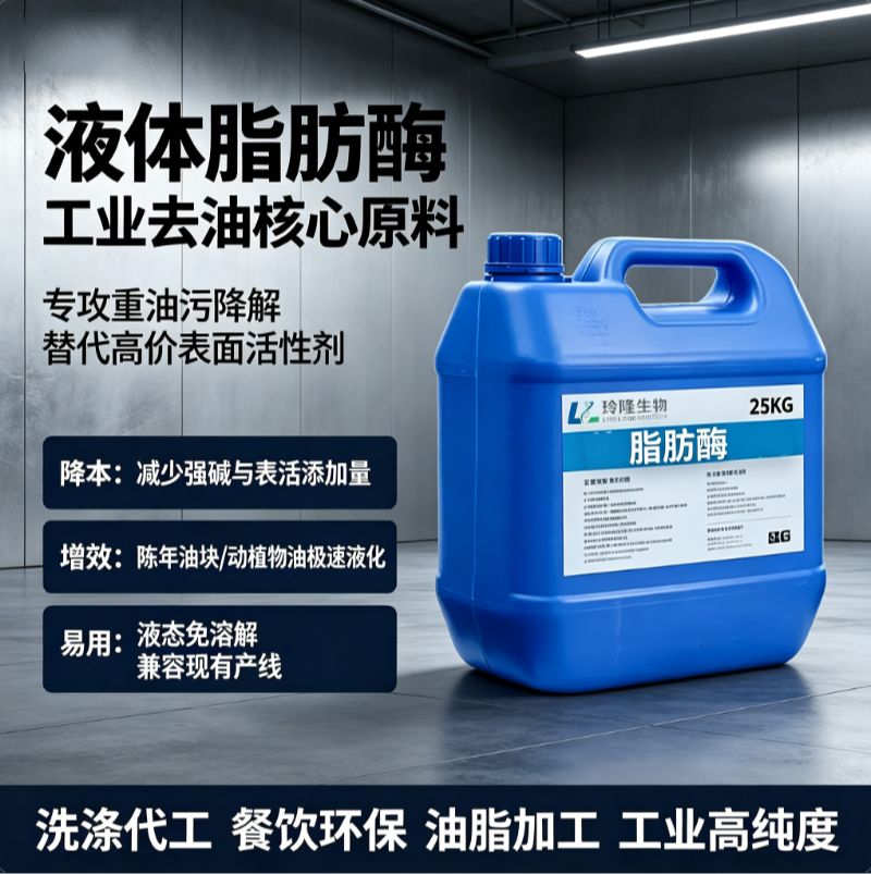 脂肪酶液体脂肪酶隔油池化油剂降解油脂防堵日化洗涤废水工业去油催化剂