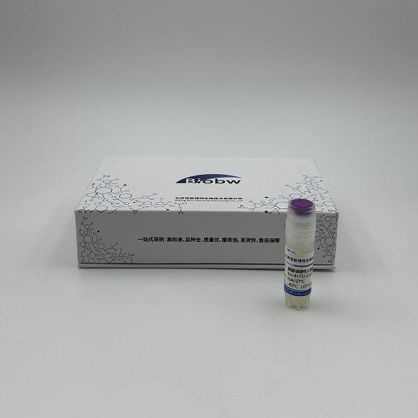 Burkholderia Cenocepacia