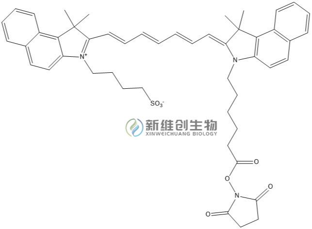 吲哚菁绿活性酯/ICG-NHS/吲哚菁绿 - 琥珀酰亚胺酯/ICG-NHS ester/吲哚菁绿活化酯