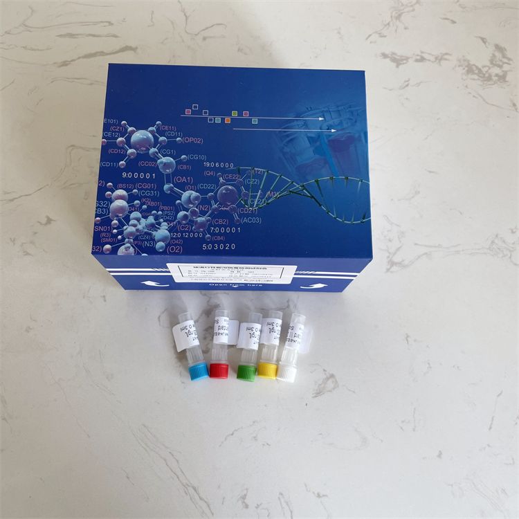人基质细胞衍生因子1β(SDF-1β）elisa试剂盒