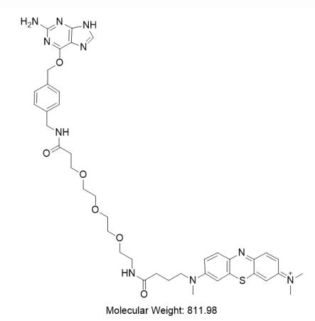 2 BG-PEG3-亚甲基；鸟嘌呤-三聚乙二醇-亚甲基蓝；鸟嘌呤PEG亚甲基蓝（化工书发布）.png