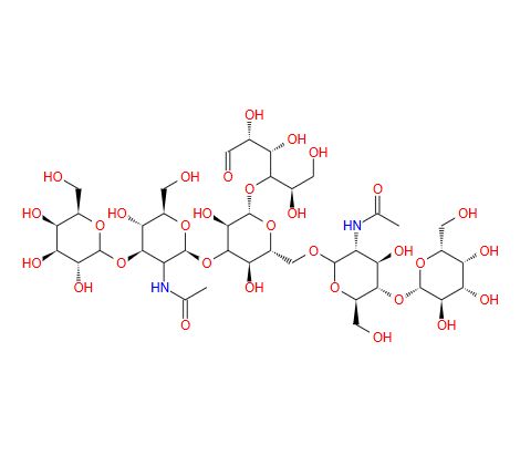 乳糖-N-六糖；64003-51-6；Lacto-N-hexaose (LNH)