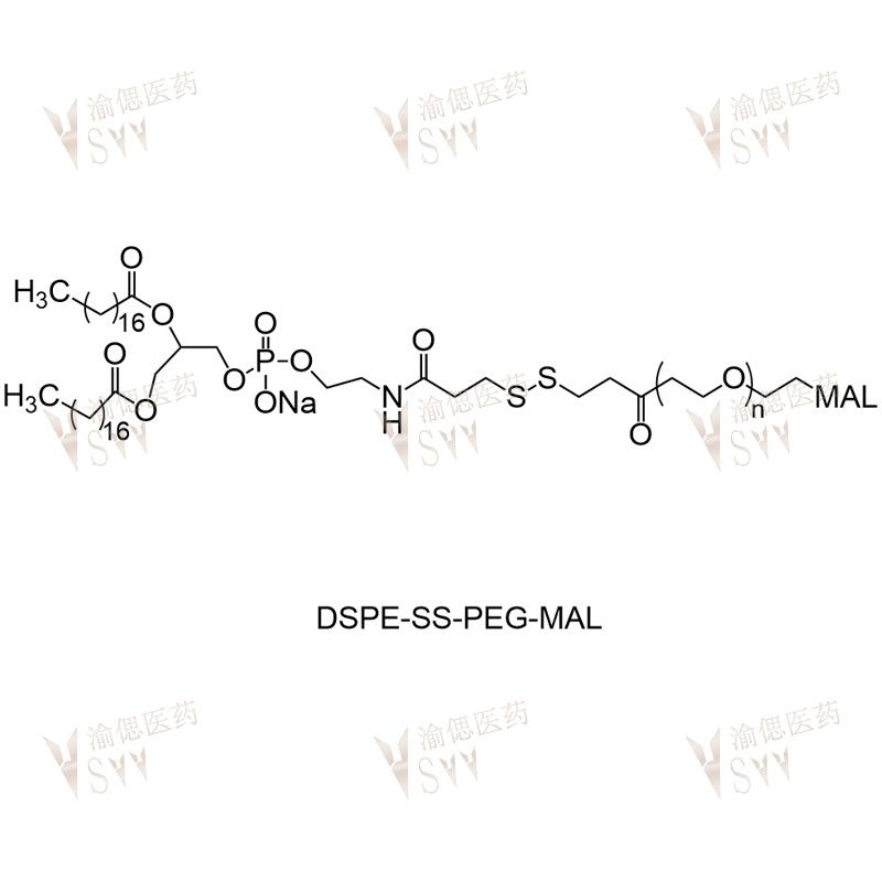 DSPE-SS-PEG2000，二硬脂酰基磷脂酰乙醇胺-双硫键-聚乙二醇
