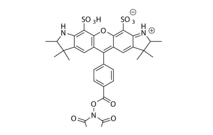 AZDye 532 NHS Ester；AZDye 532琥珀酰亚胺酯