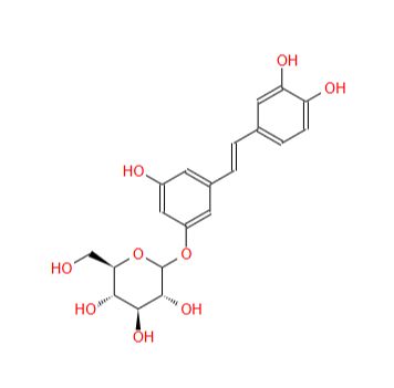 29884-49-9 白皮杉醇葡萄糖苷