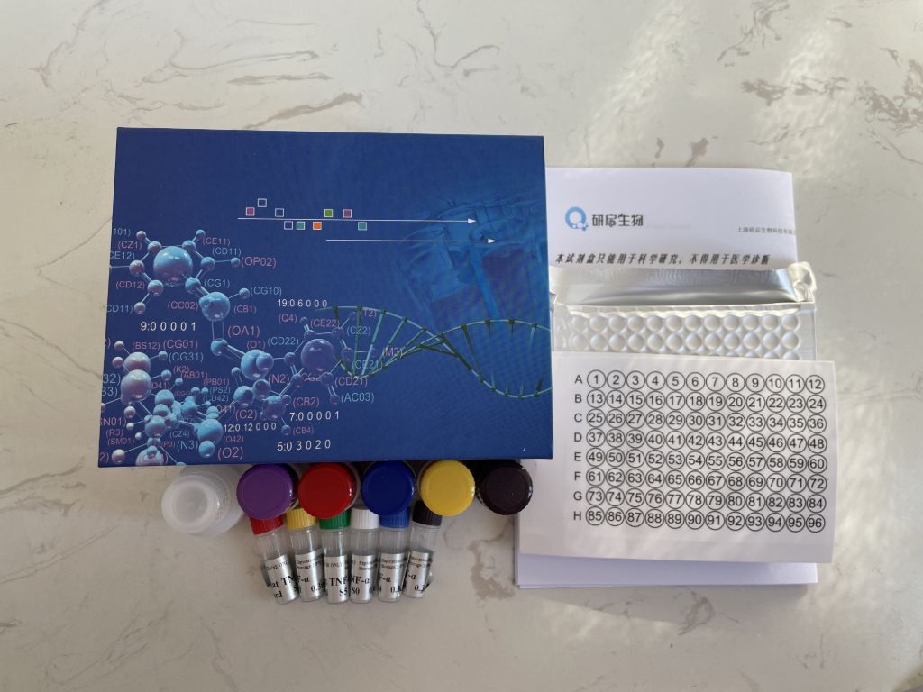 人肝素结合性表皮生长因子(HB-EGF）ELISA试剂盒