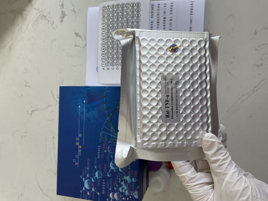 人干扰素诱导蛋白10(IP-10;CXCL10）ELISA试剂盒