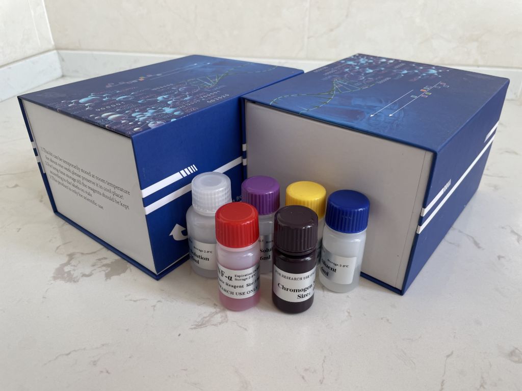 人谷氨酸脱羧酶自身抗体(GAD-Ab）ELISA试剂盒