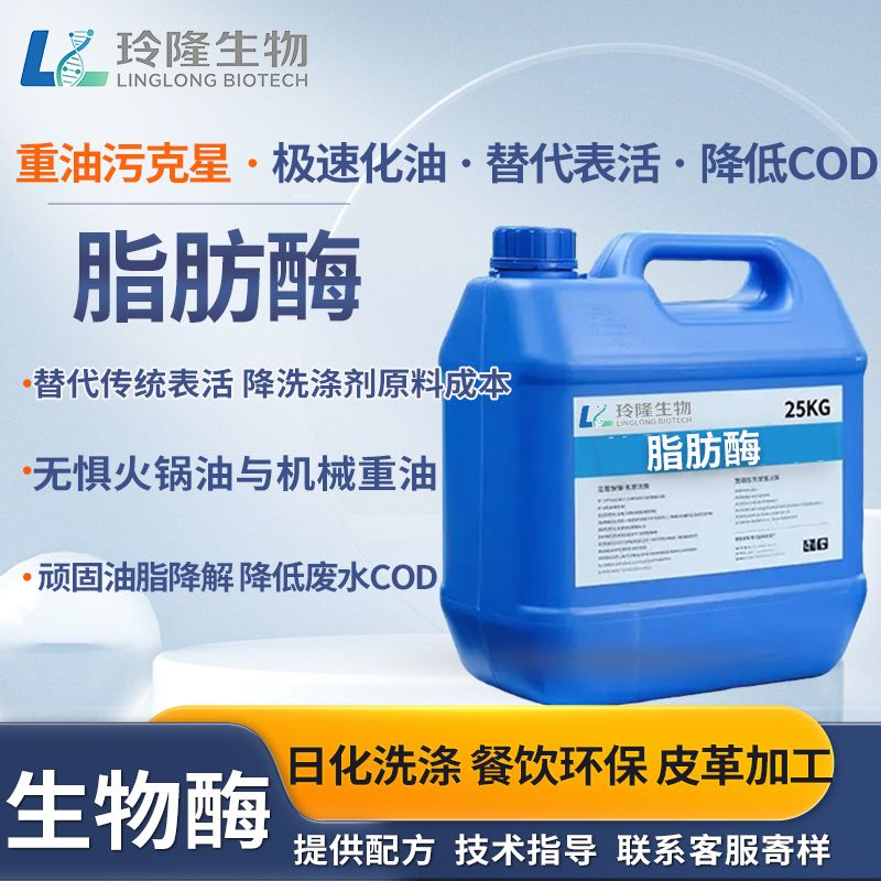 脂肪酶液体脂肪酶隔油池化油剂降解油脂防堵日化洗涤废水工业去油催化剂