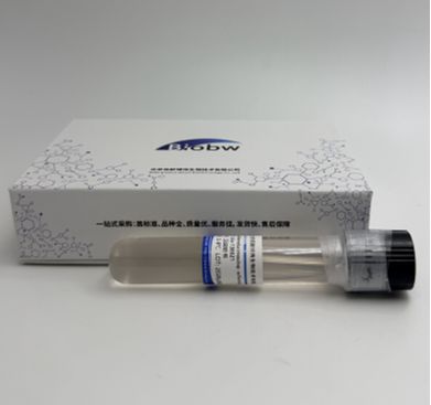 Fusarium Cf Pseudonygamai