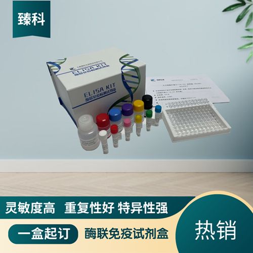 头包氨苄(Cefalexin）ELISA试剂盒