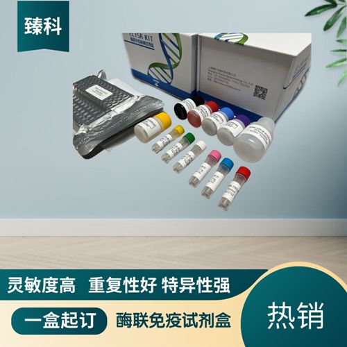 黄曲霉毒素B1（AFB1）ELISA试剂盒