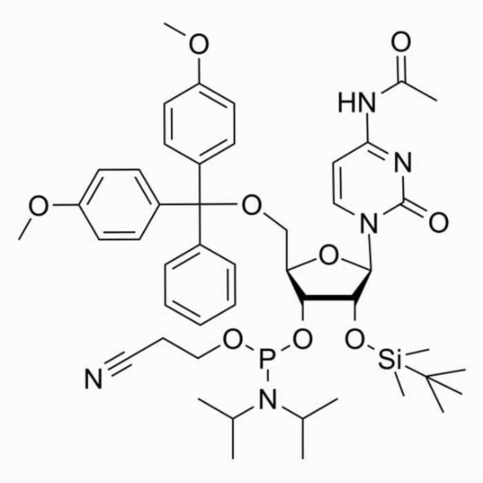 aladdin 阿拉丁 B299807 Ac-rC 亚磷酰胺单体 121058-88-6 ≥98%(Mixture of Diastereomers)
