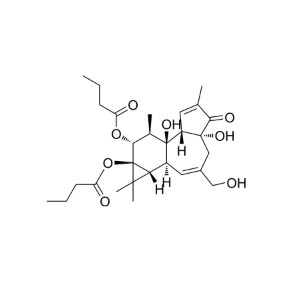 aladdin 阿拉丁 P276207 佛波醇 12,13-二丁酸酯 37558-16-0 ≥98%