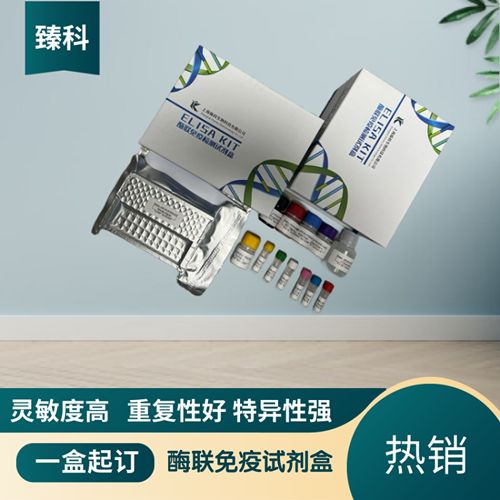 人促黄体激素(LH）elisa测定试剂盒