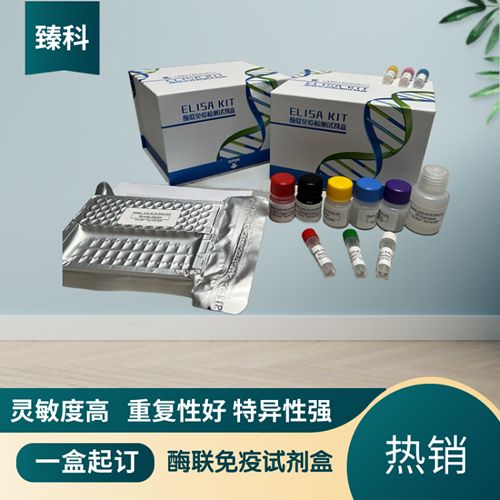 人催产素(OT）elisa测定试剂盒