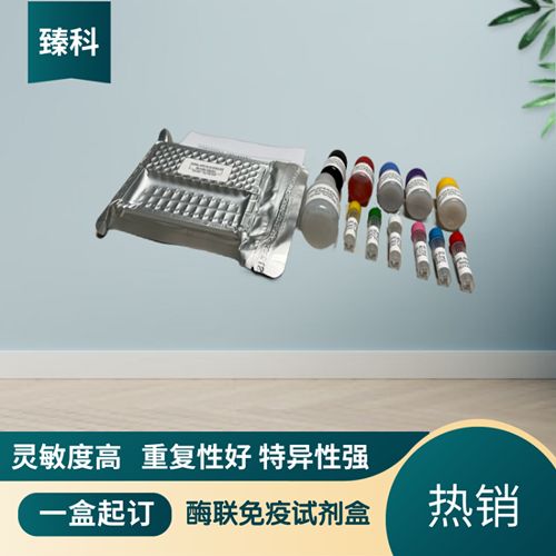 人催乳素诱导蛋白(PIP）elisa测定试剂盒