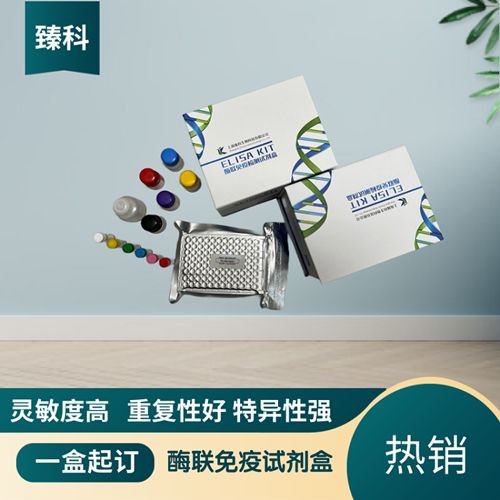人存活素抗体/生存蛋白(Surv）elisa测定试剂盒