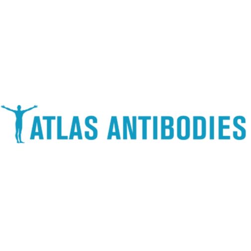 维百奥生物代理Atlas Antibodies全系列产品