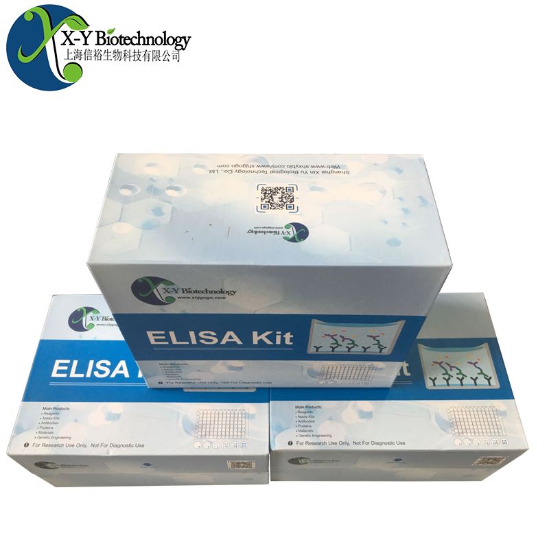 小鼠msln（间皮素）ELISA试剂盒