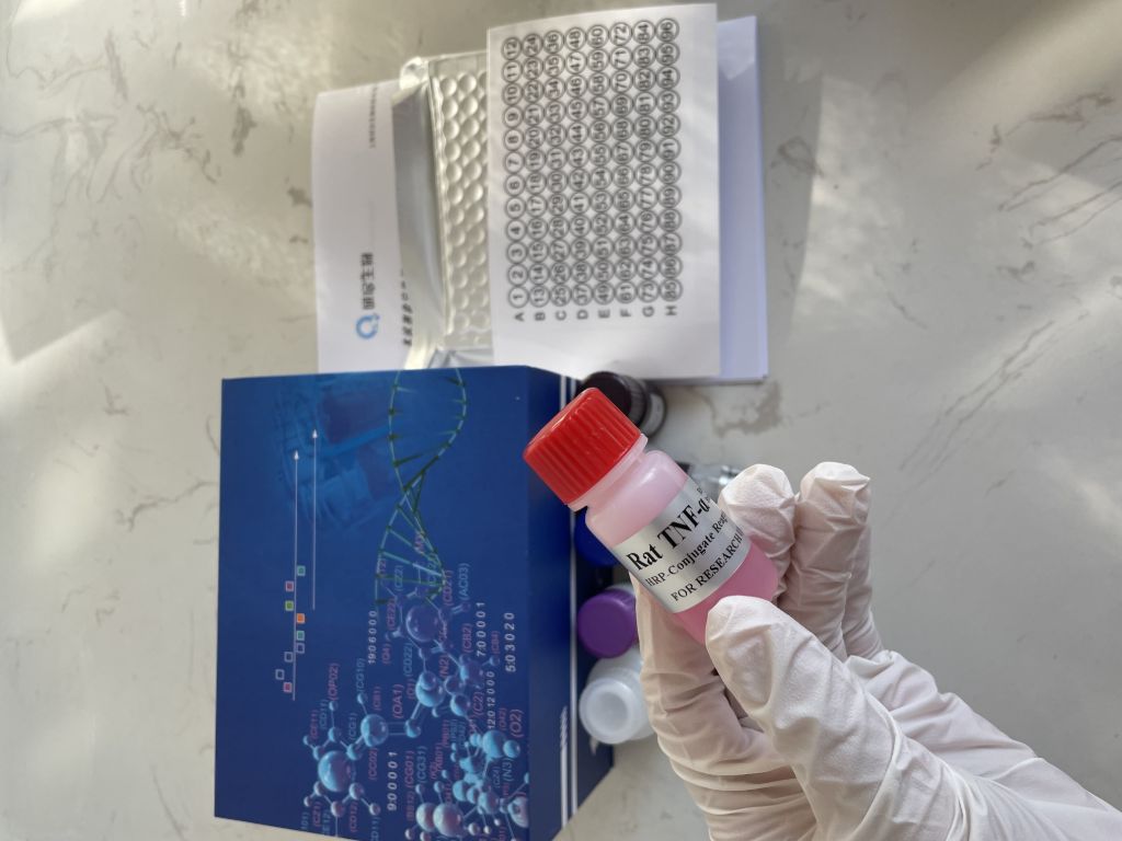 人可溶性CD38(sCD38）ELISA试剂盒