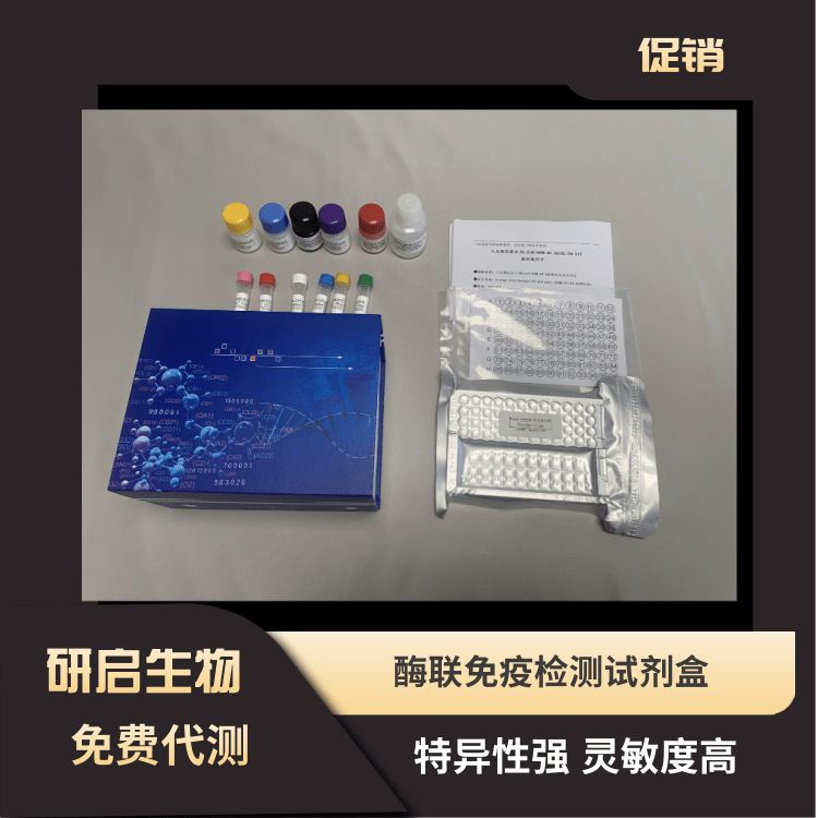 人可溶性CD44V6(sCD44v6）ELISA试剂盒