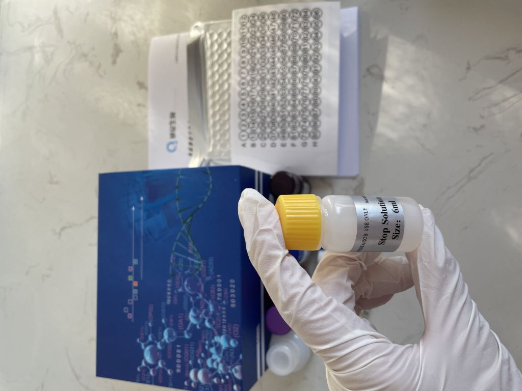 人可溶性白介素6受体(sIL-6R;CD126）ELISA试剂盒