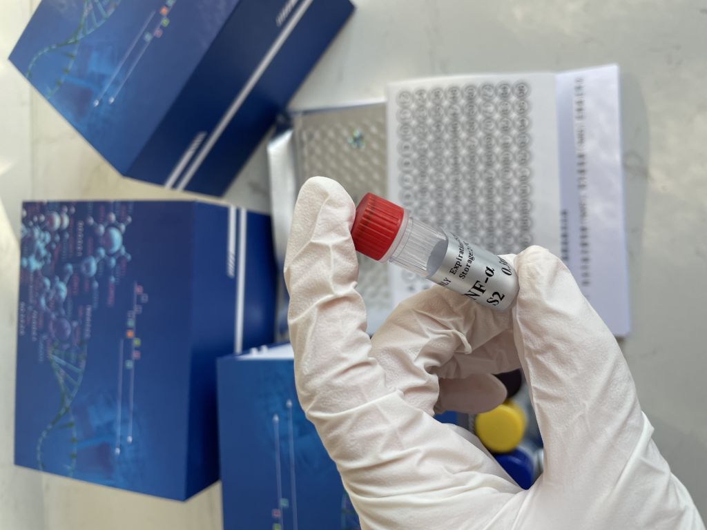 人可溶性白介素6(sIL-6）ELISA试剂盒