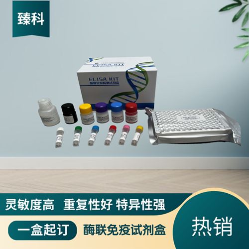 人单胺氧化酶(MAO）elisa测定试剂盒