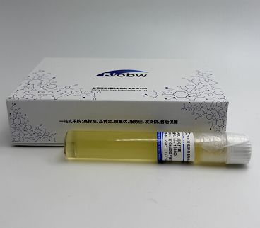 Anaerococcus Prevotii