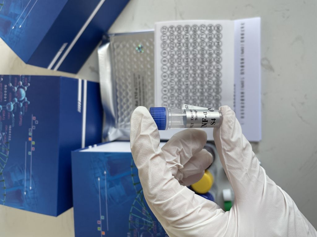 人酪氨酸蛋白激酶受体A7抗体(EphA7）ELISA试剂盒