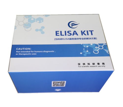 人白细胞介素6（IL-6）ELISA试剂盒