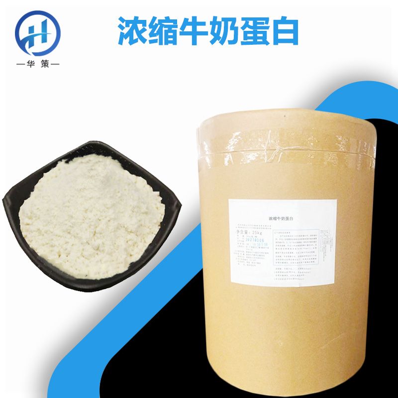 浓缩牛奶蛋白厂家