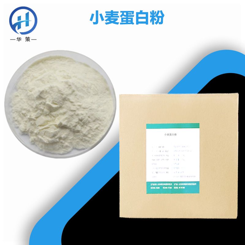 小麦蛋白粉厂家