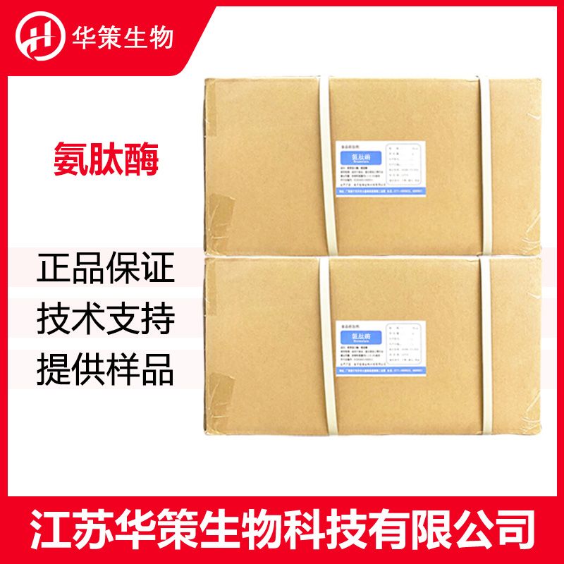 氨肽酶厂家