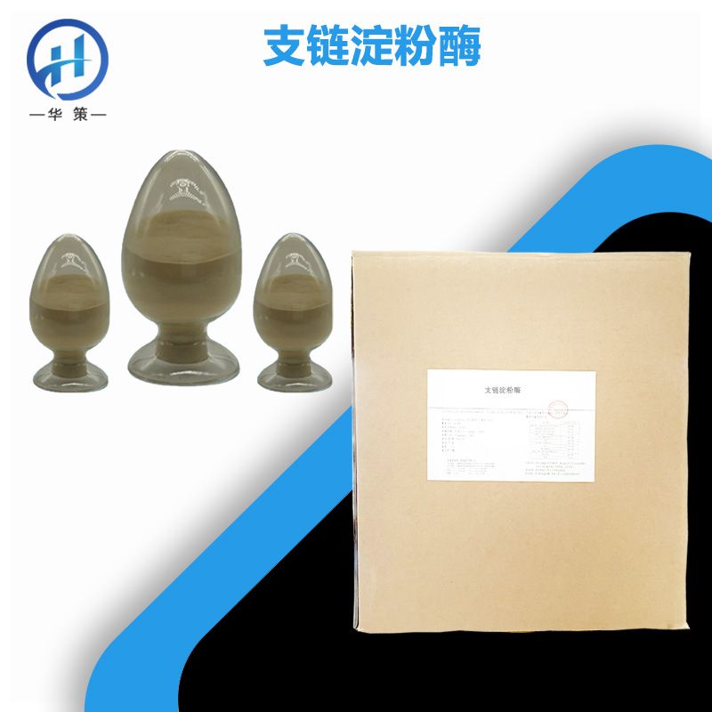 支链淀粉酶厂家