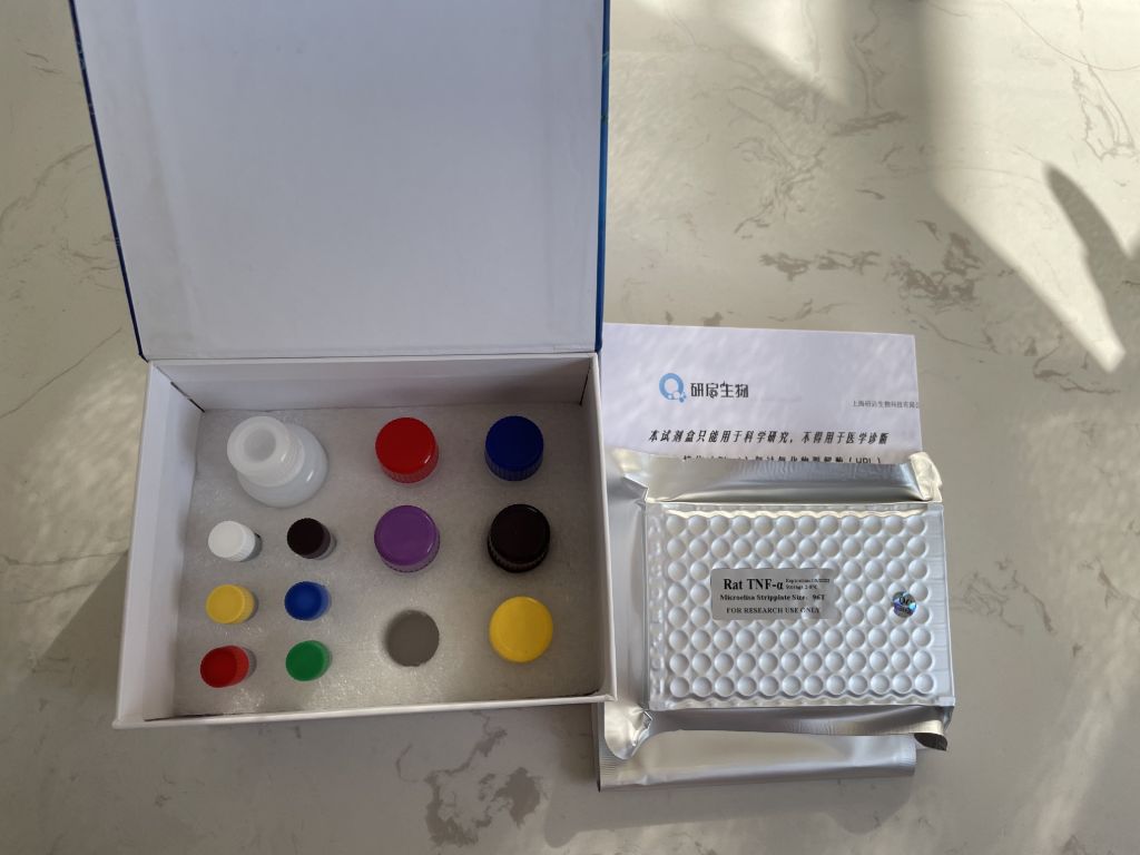 人前列腺素E1(PGE1）ELISA试剂盒