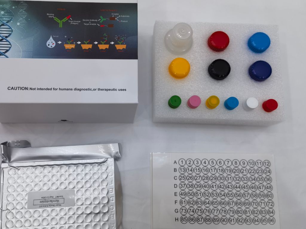 大鼠5羟色胺转运蛋白(5-HTT)ELISA试剂盒