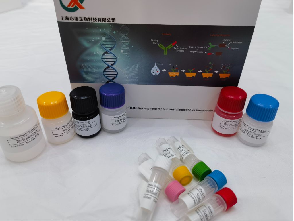 大鼠5羟色胺转运蛋白(5-HTT)ELISA试剂盒