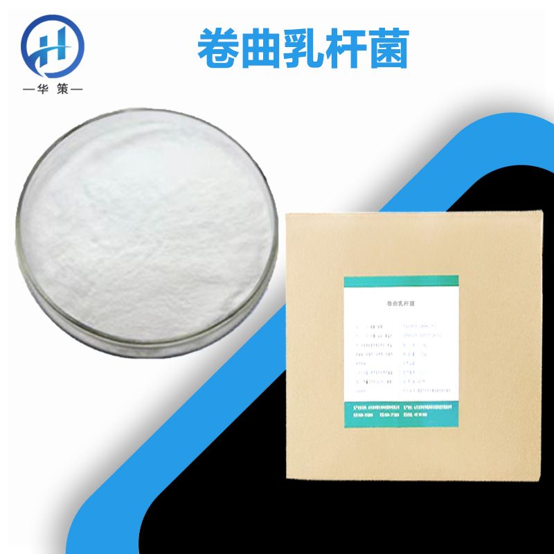 卷曲乳杆菌厂家