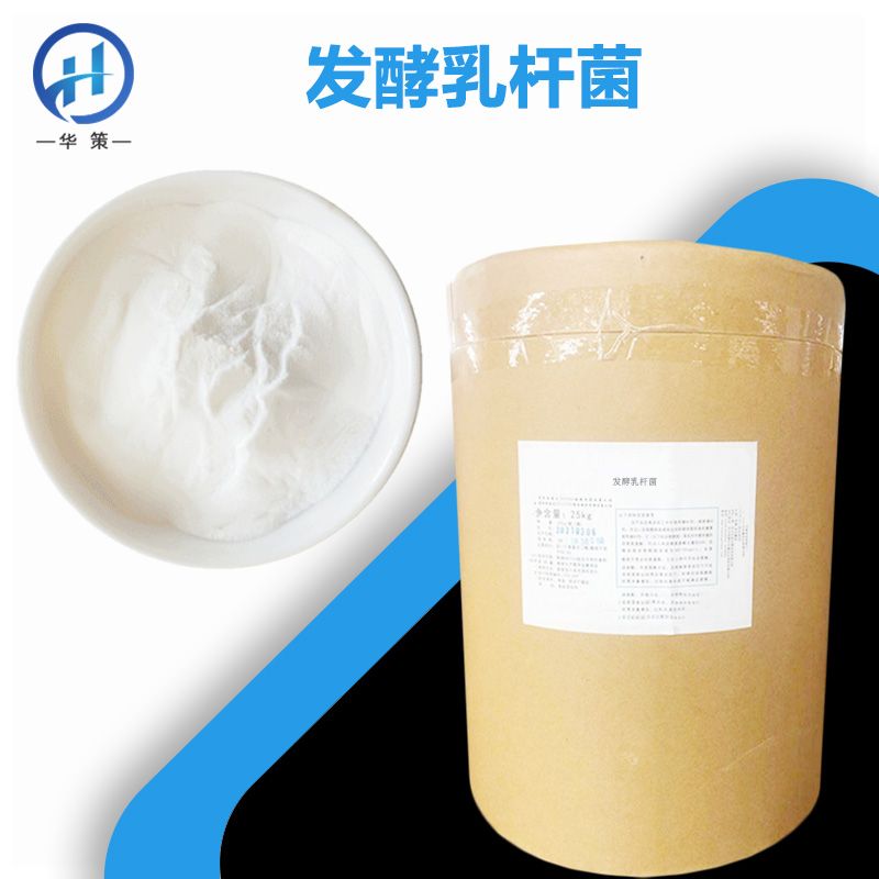 发酵乳杆菌厂家