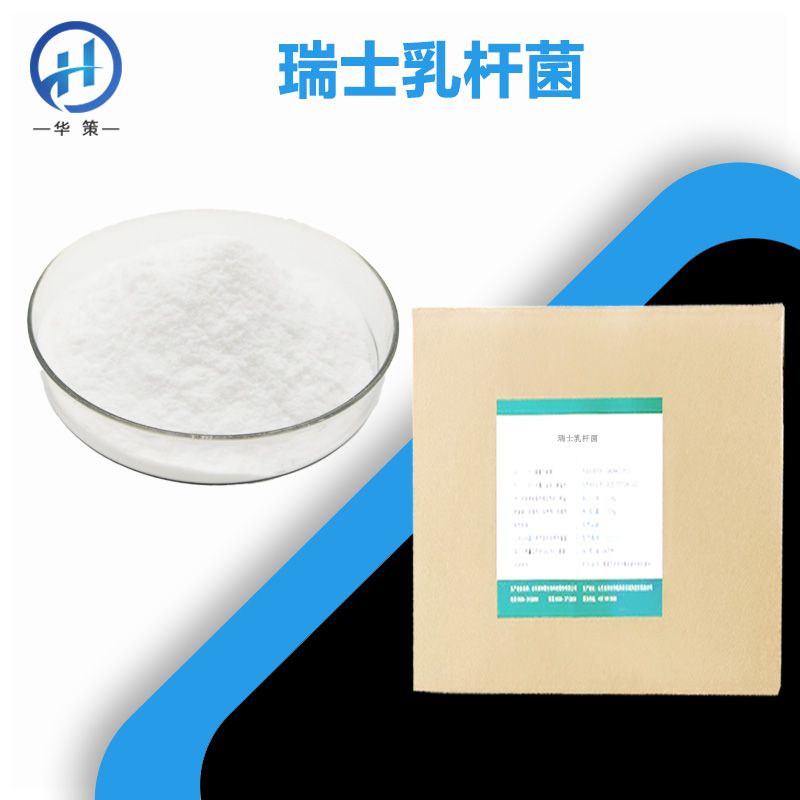 瑞士乳杆菌厂家