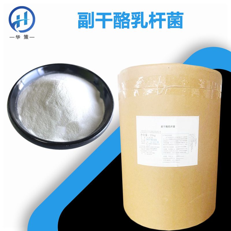 副干酪乳杆菌厂家