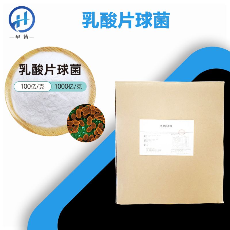乳酸片球菌厂家