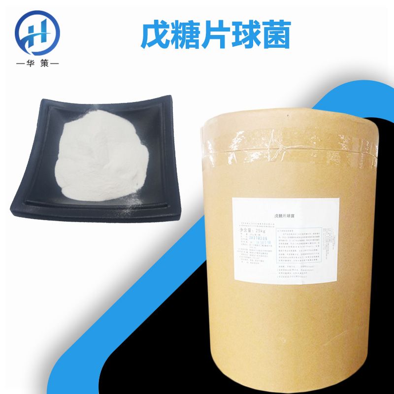 戊糖片球菌厂家