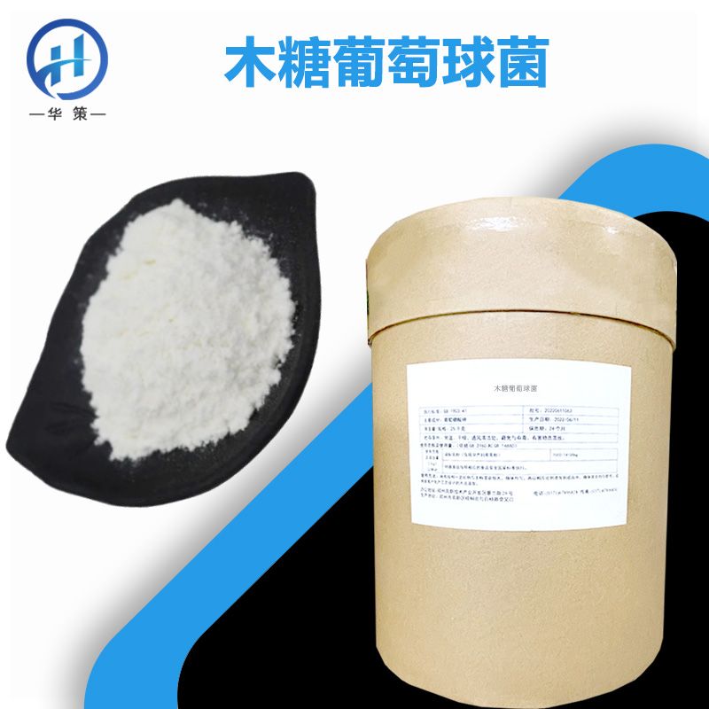 木糖葡萄球菌厂家